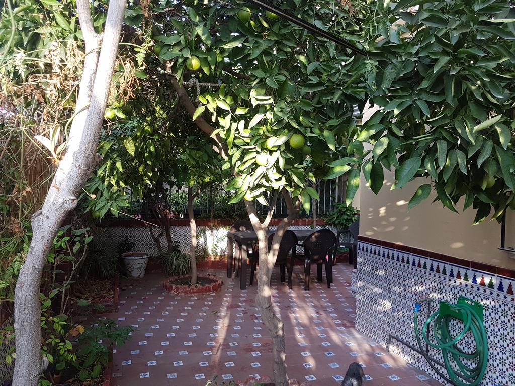 Villa Patricia Malaga Exterior photo