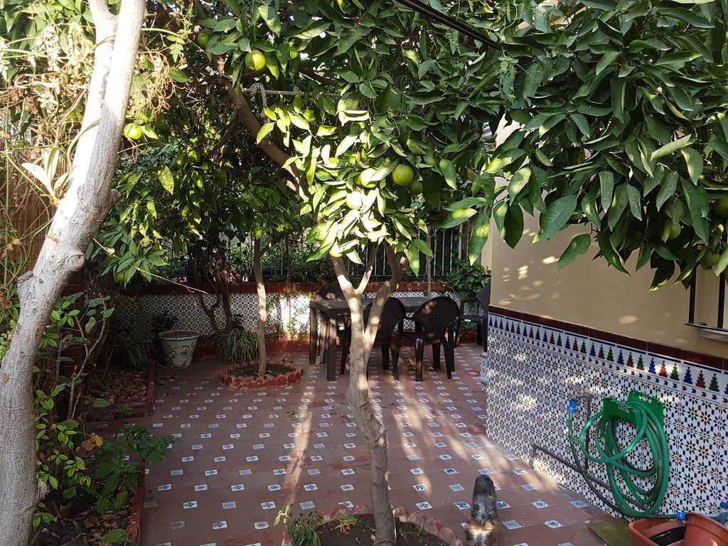 Villa Patricia Malaga Exterior photo
